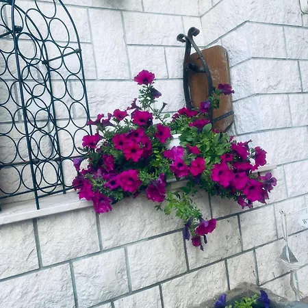 Casa Del Mare Guest house